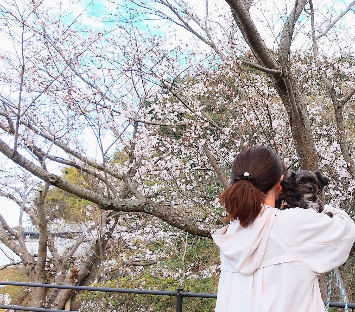プロフィール写真