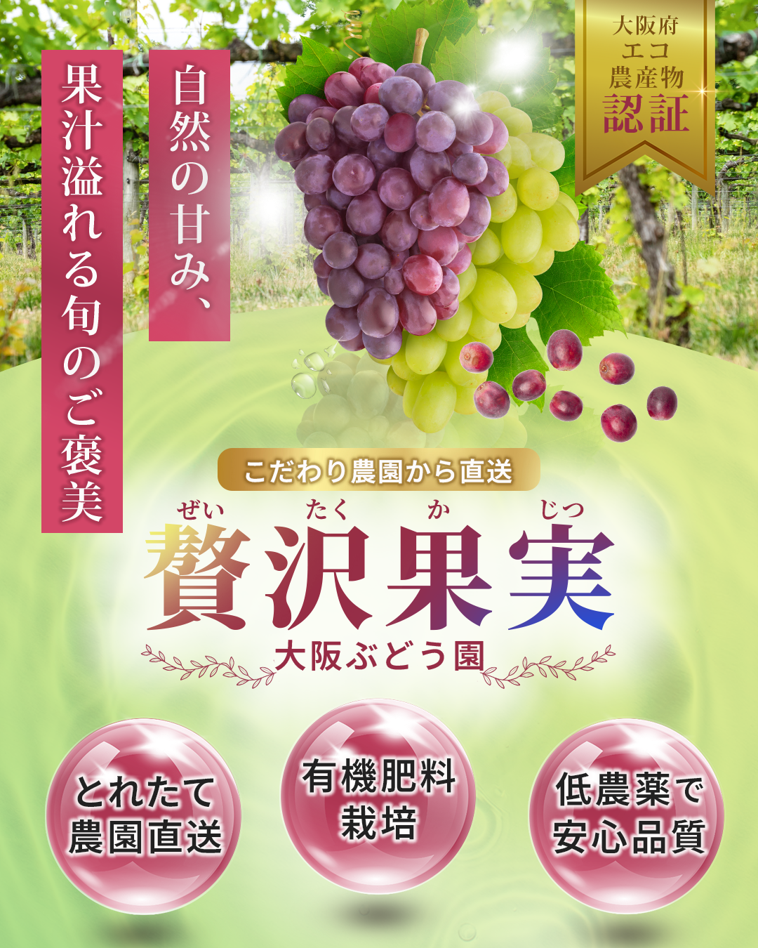 チラシデザイン